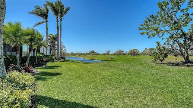 view of yard featuring a water view