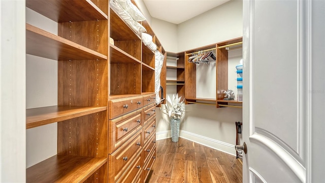 spacious closet with wood finished floors