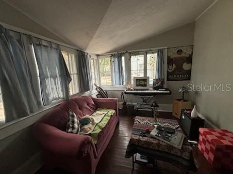 living area featuring lofted ceiling and wood finished floors