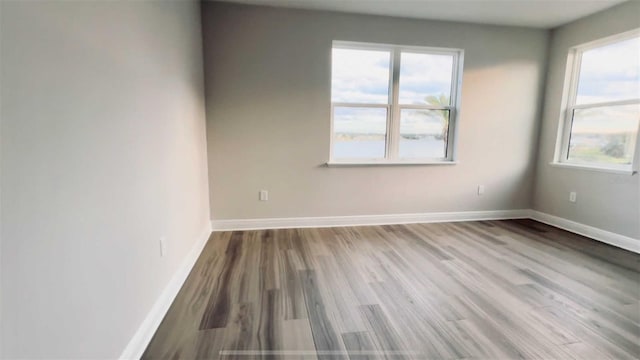 empty room featuring wood finished floors, a wealth of natural light, and baseboards