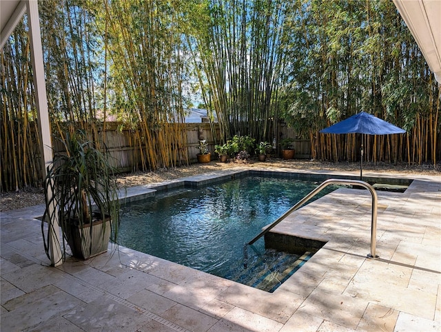 view of pool featuring a fenced in pool, a fenced backyard, and a patio