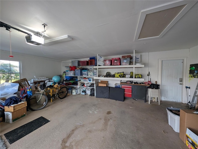 32 Fallen Oak Ln, Palm Coast, FL 32137 - garage featuring a garage door opener