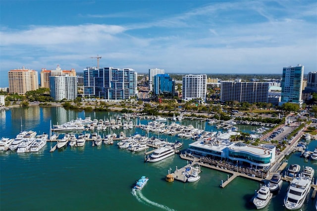 bird's eye view featuring a water view and a city view