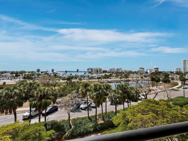 property view of water featuring a city view