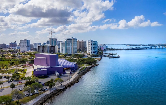 birds eye view of property with a city view and a water view