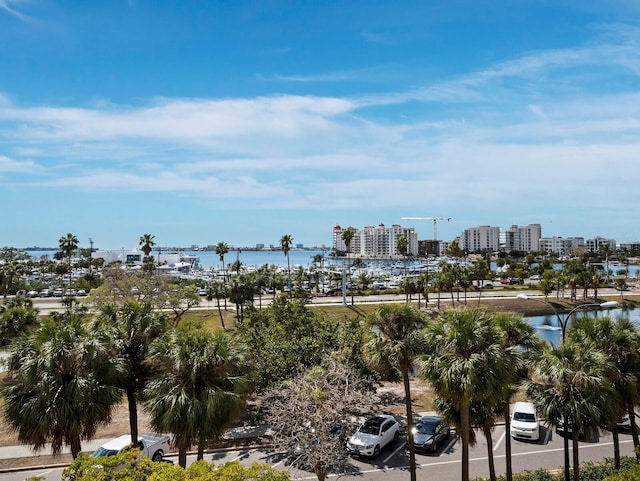 view of water feature with a city view