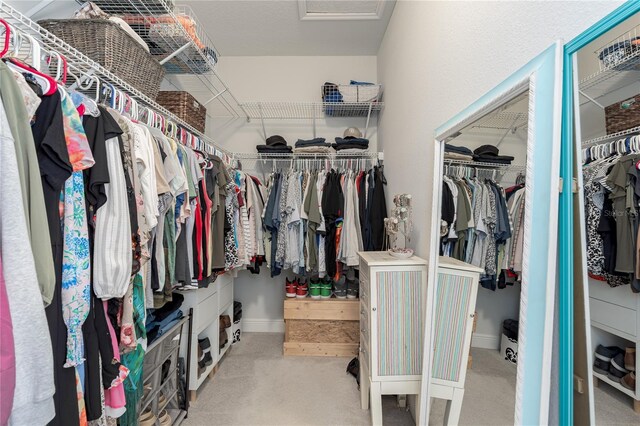 spacious closet featuring attic access and carpet