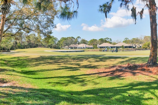 view of community featuring a yard