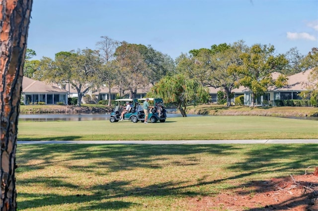 view of community with a yard