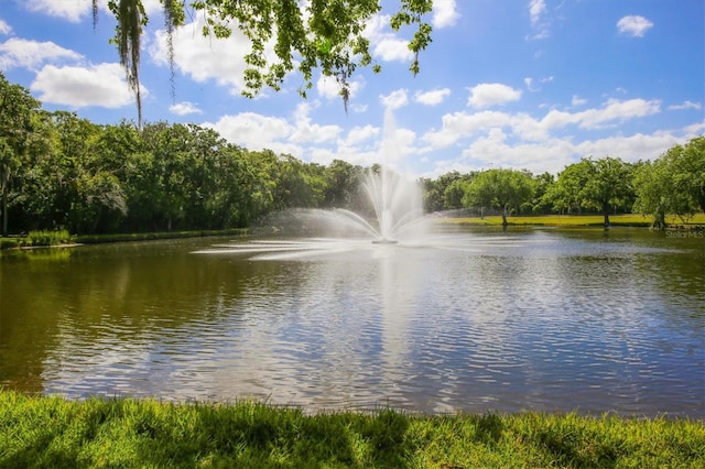 view of water feature