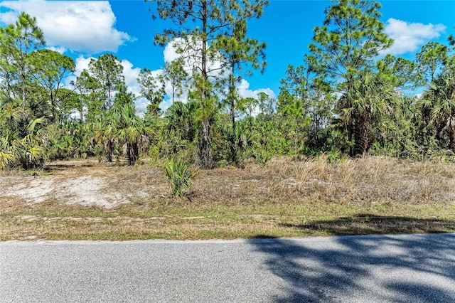 Listing photo 3 for Basket St, North Port FL 34288