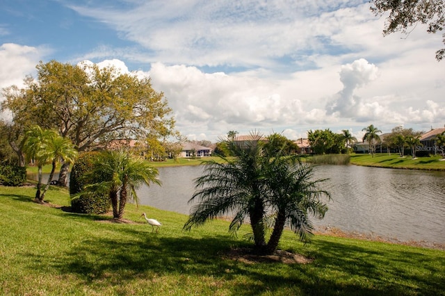 view of water feature