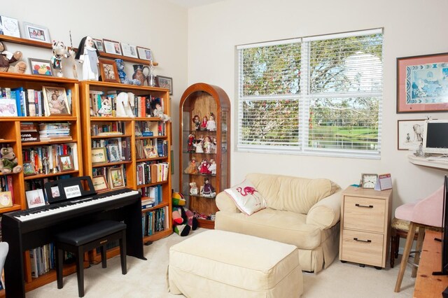 sitting room featuring carpet flooring