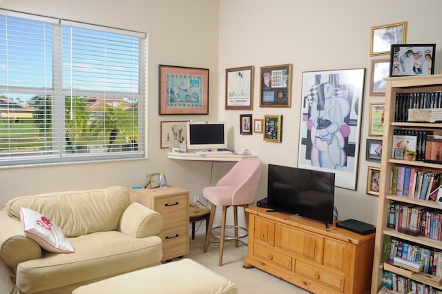interior space with light colored carpet