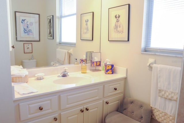 bathroom with toilet and vanity