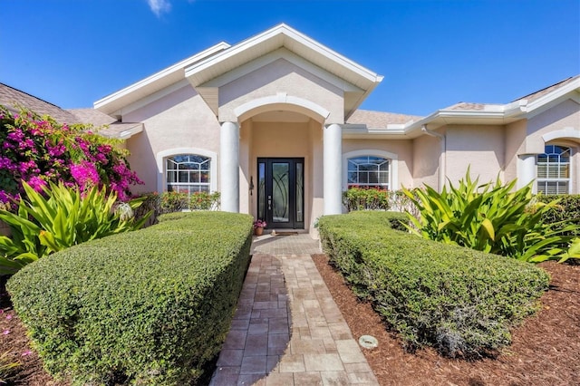 view of exterior entry with a shingled roof and stucco siding