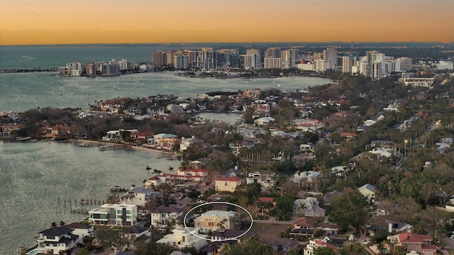 aerial view with a water view and a city view