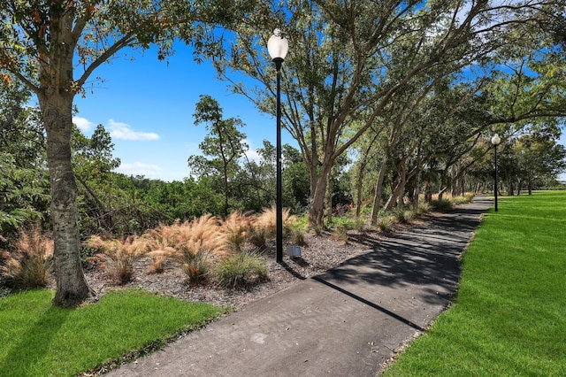 view of home's community with a yard