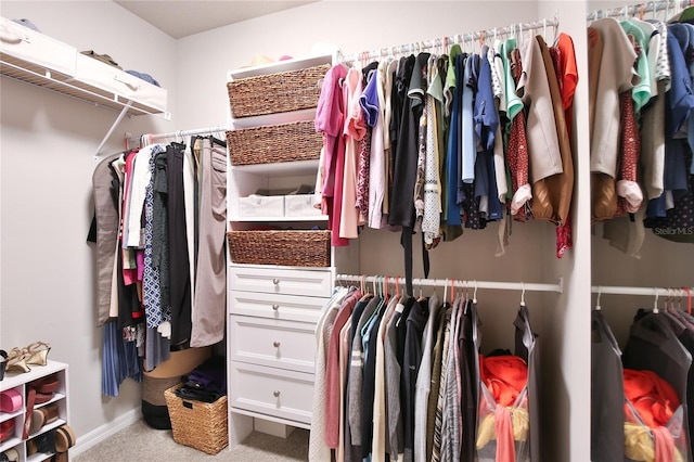 spacious closet featuring carpet