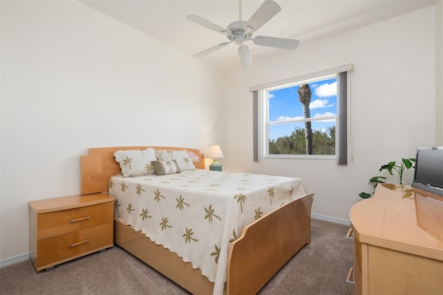 803 Coral Bean Cv, Venice, FL 34293 - photo 16