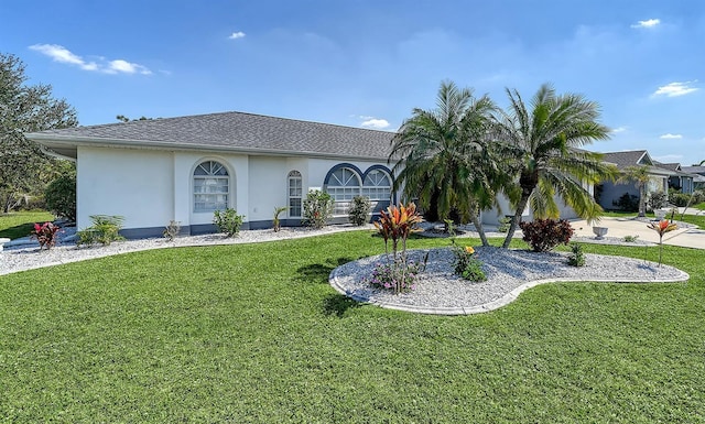 rear view of property with a shingled roof, a lawn, and stucco siding