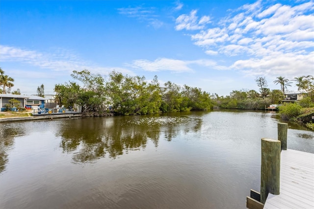 view of dock with a water view