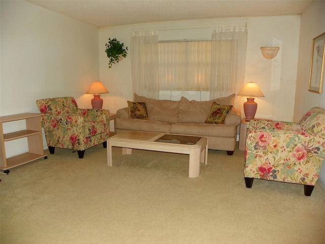 living area with carpet flooring