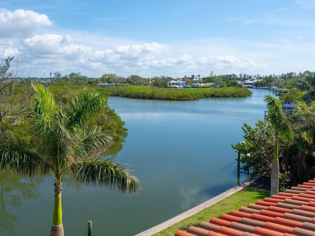 view of water feature