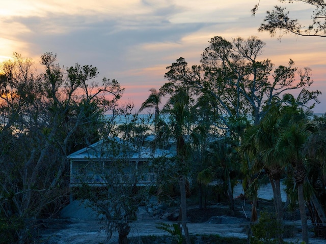 view of local wilderness