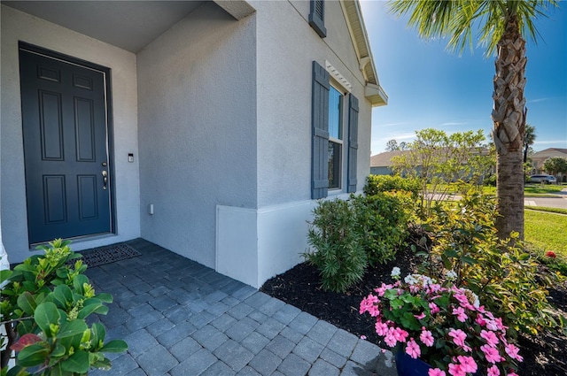 doorway to property featuring stucco siding