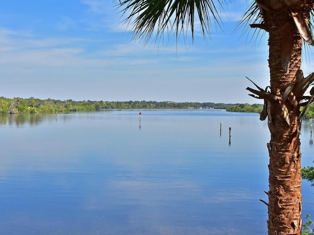 property view of water