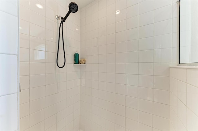 interior details with tiled shower