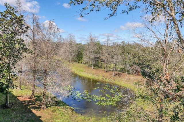 property view of water featuring a forest view