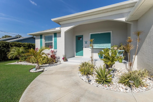 view of exterior entry featuring a lawn and stucco siding