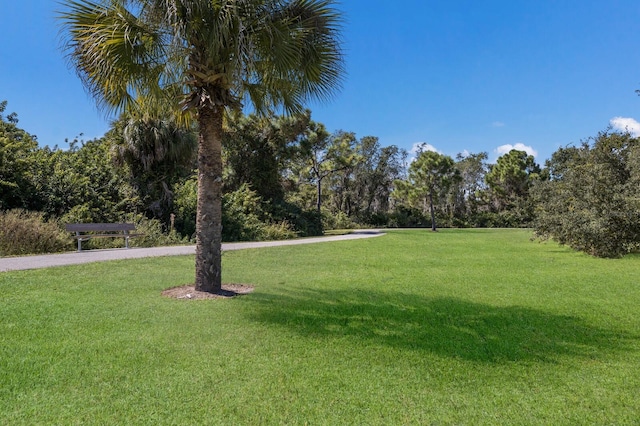 view of property's community with a lawn