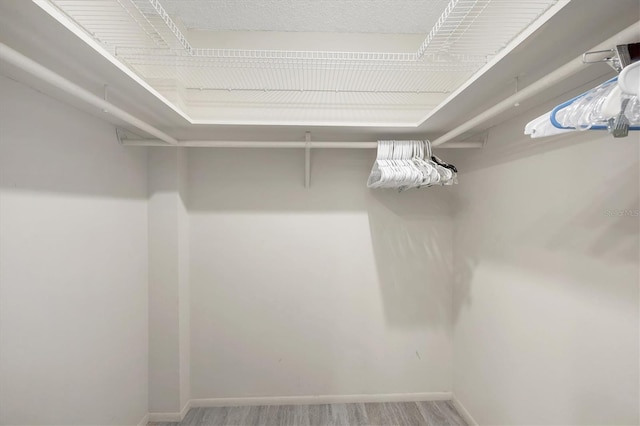 spacious closet featuring wood finished floors