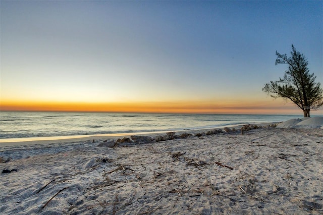 water view featuring a beach view