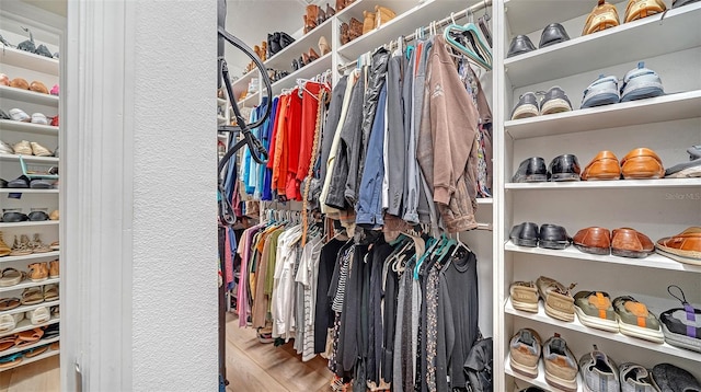 spacious closet with wood finished floors