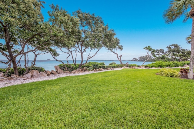 view of yard with a water view