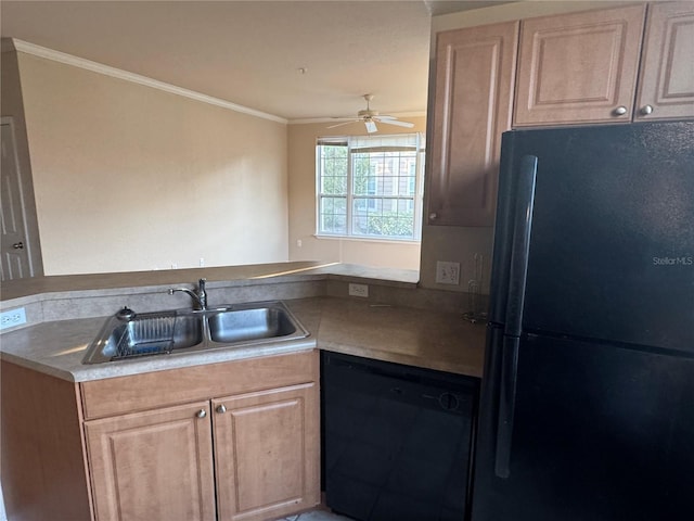 kitchen featuring light brown cabinetry, ornamental molding, a ceiling fan, a sink, and black appliances