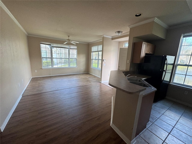 kitchen featuring a peninsula, a healthy amount of sunlight, ornamental molding, and a sink