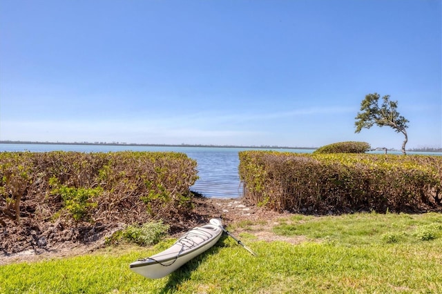 property view of water