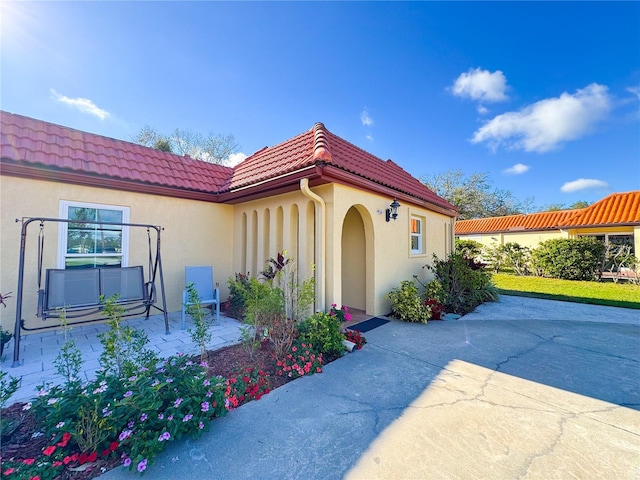 entrance to property with a patio area, a tile roof, and stucco siding