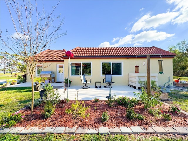 back of house featuring a lawn, a patio, a tiled roof, and stucco siding