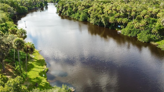 drone / aerial view featuring a water view and a view of trees