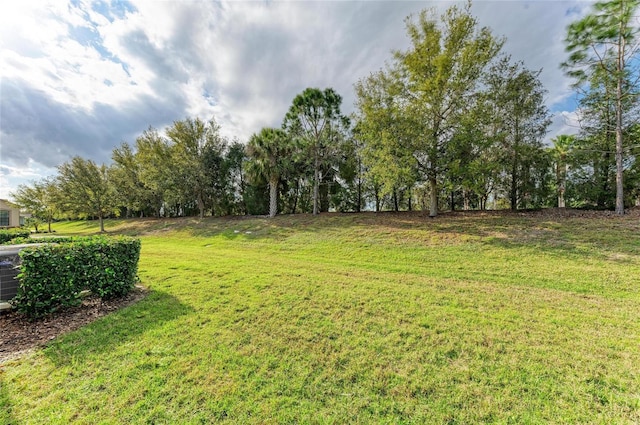 11607 Meadowgate Pl, Bradenton, FL 34211 - view of yard