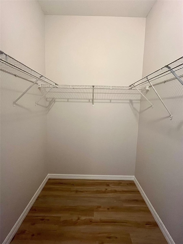 walk in closet with dark wood-type flooring