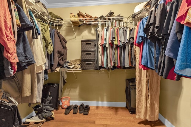 walk in closet with wood finished floors