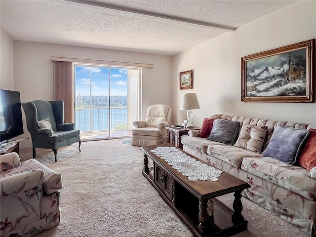 living area featuring carpet, a water view, and a textured ceiling