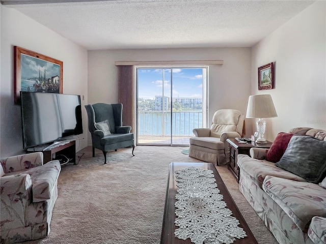 living room with light colored carpet and a textured ceiling